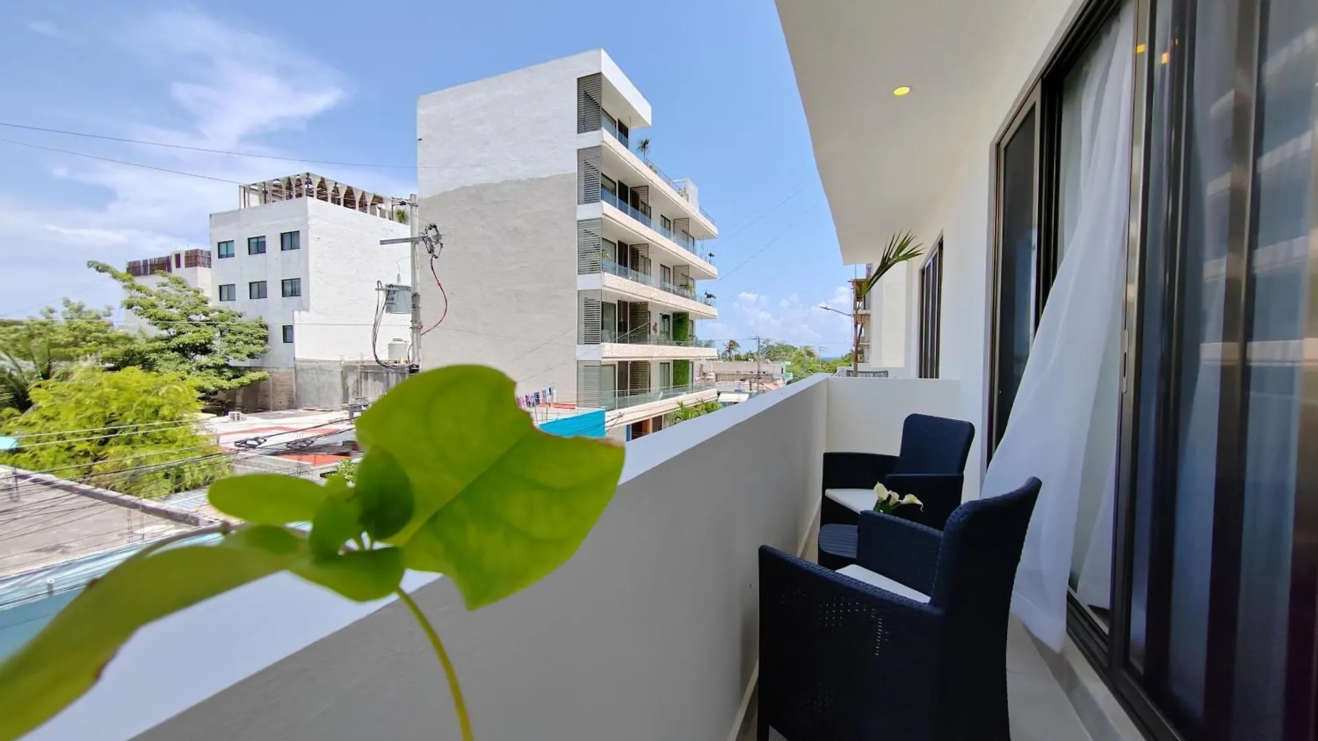 New! Elegant & Wonderful Studios In Excellent Area By Yeah Playa del Carmen 0*,